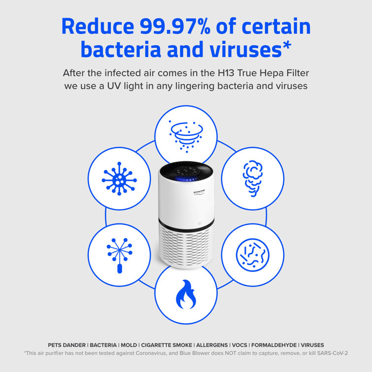 Blue Blower True HEPA, UV, Active Carbon Filter Blue Blower